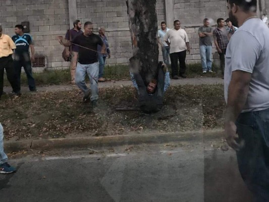 Los ciudadanos, tras darle la paliza al presunto ladrón, lo amarraron de un árbol en SPS.