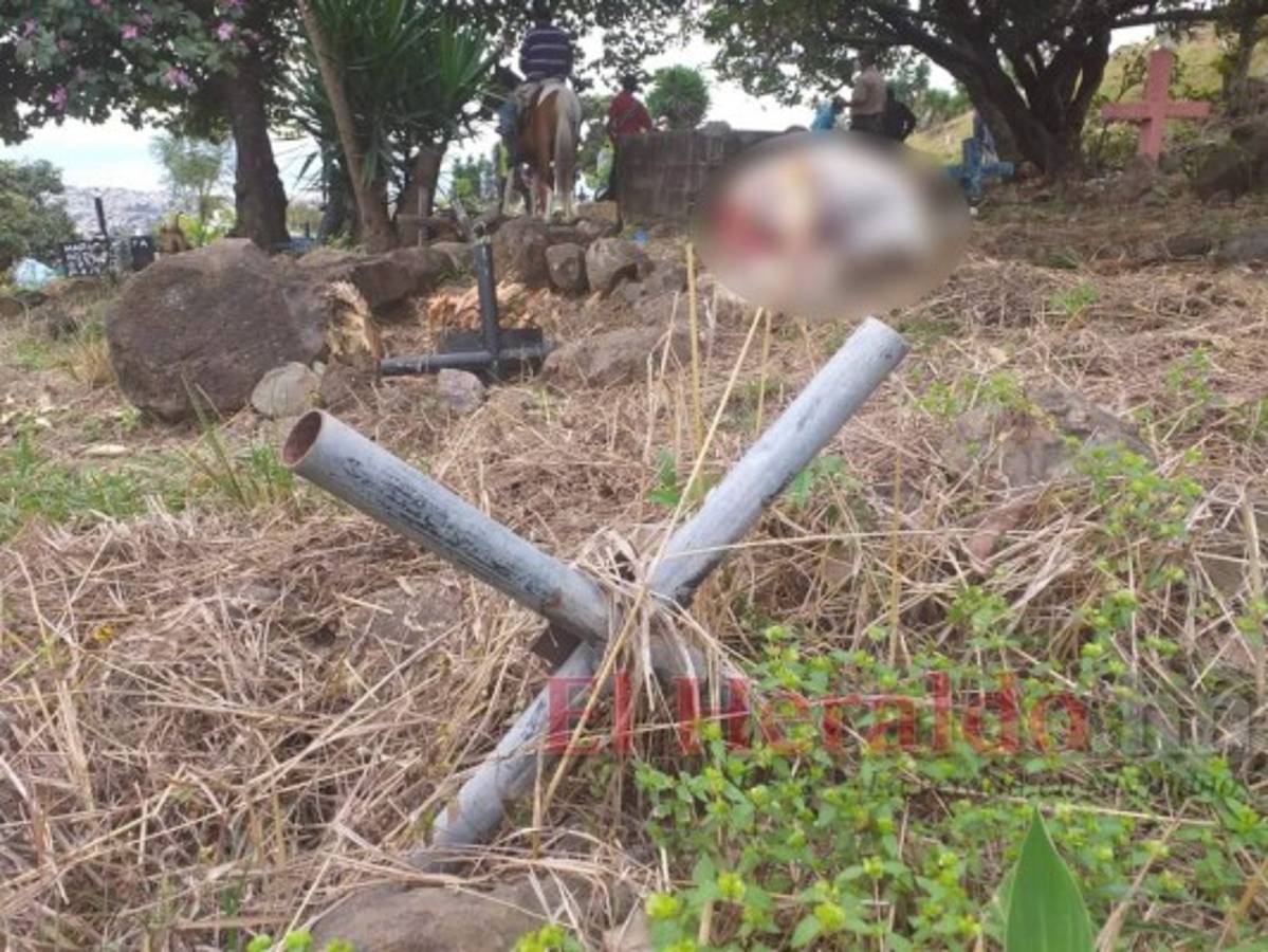 Los animales fueron sacrificados a medianoche por sujetos desconocidos que se llevaron la carne aparentemente para comercializarla.