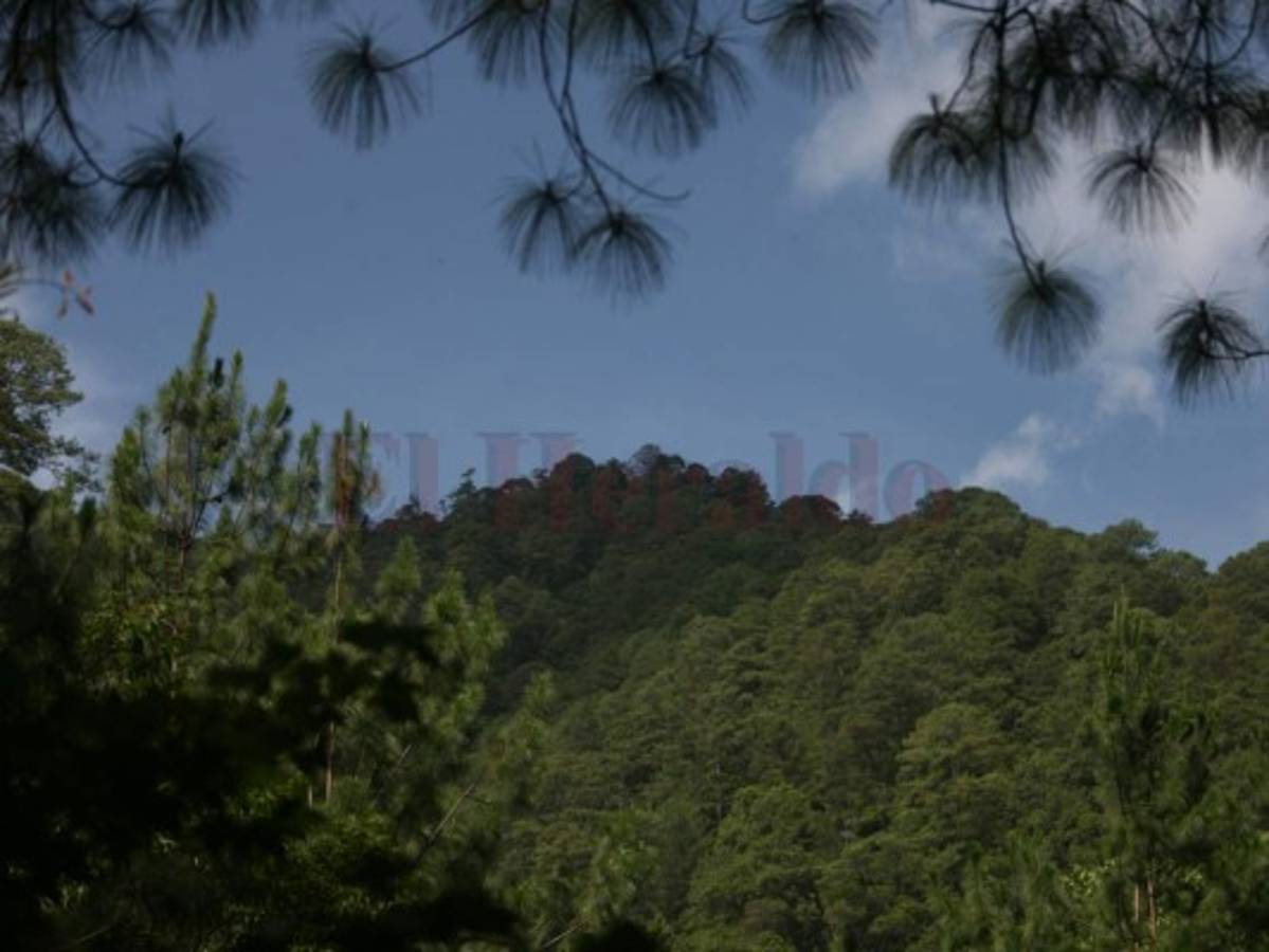 Vista panorámica de una parte de la extensa cordillera de Celaque.