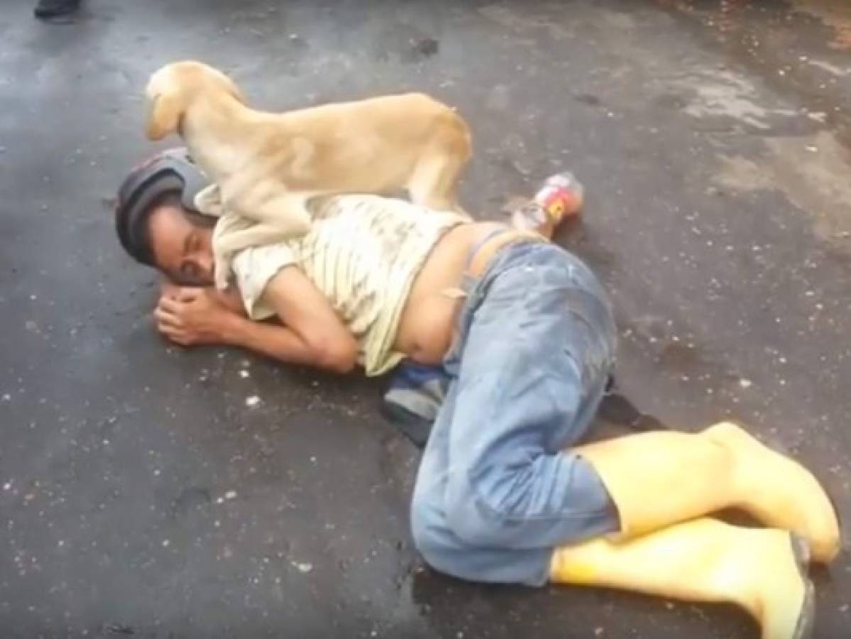 ¡Amigo fiel! Perro protege a su amo borracho