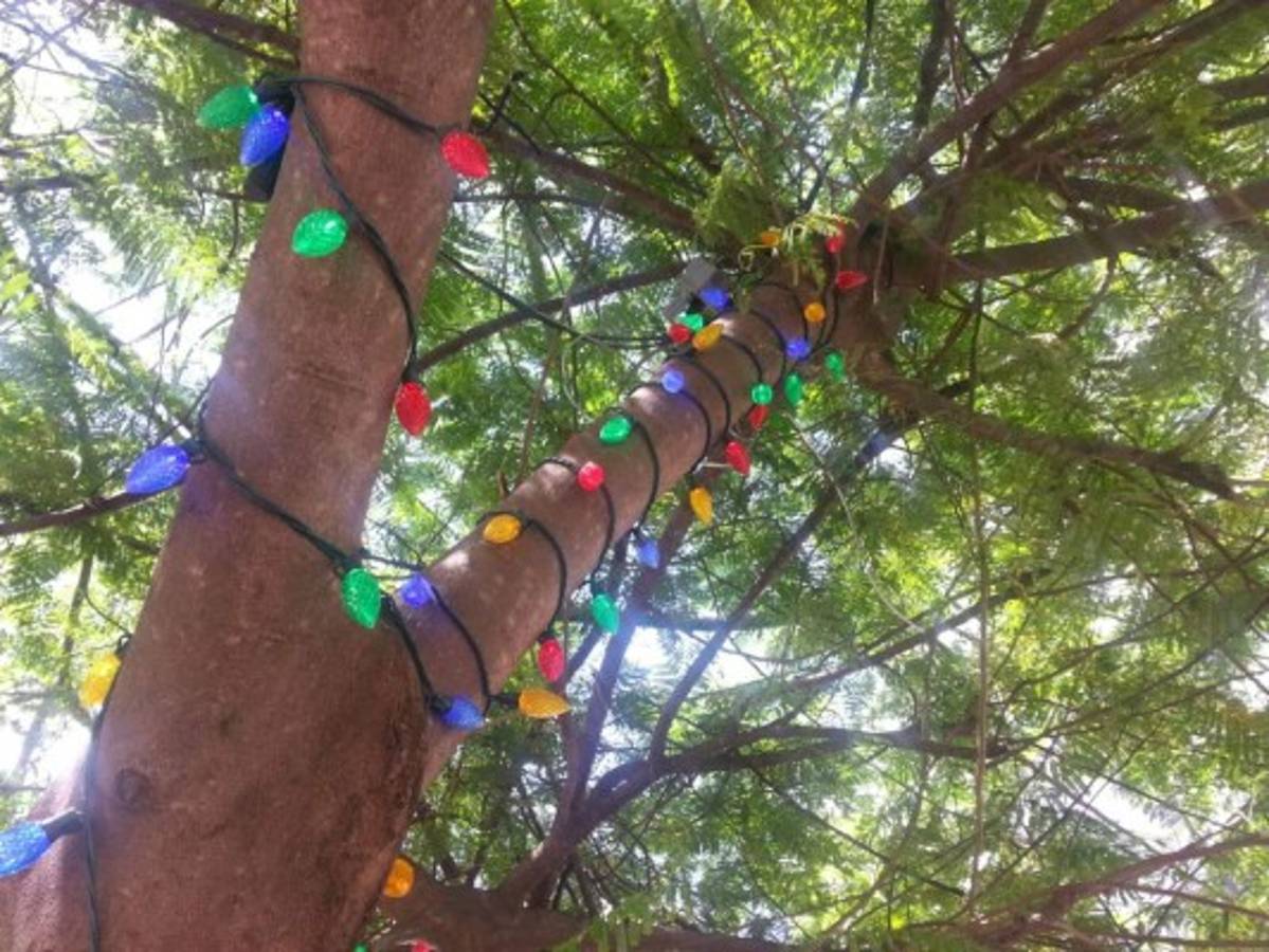 Alcaldía prepara Villa Navideña en Tegucigalpa  