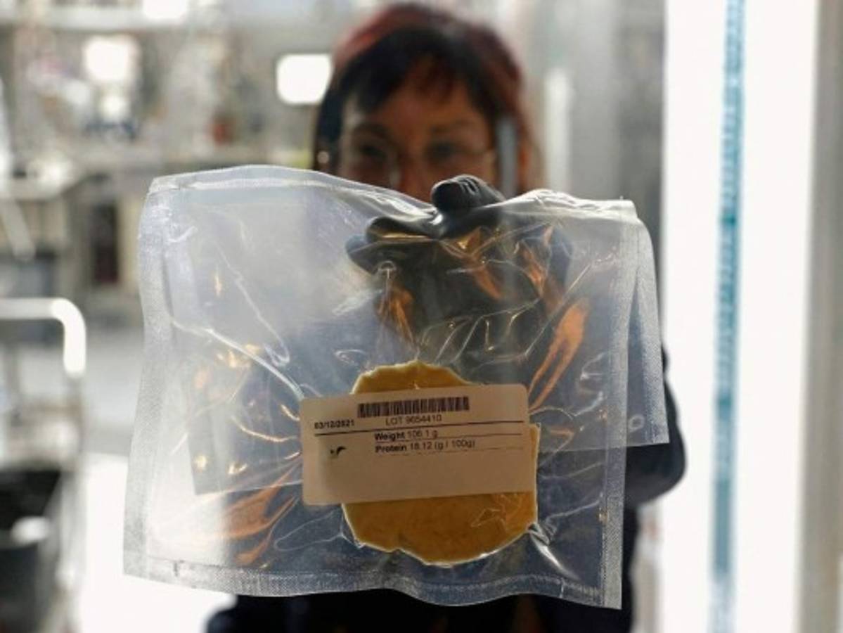 En el laboratorio se cultivan células de huevos de gallina fertilizados en biorreactores, alimentadas con líquidos de origen vegetal.