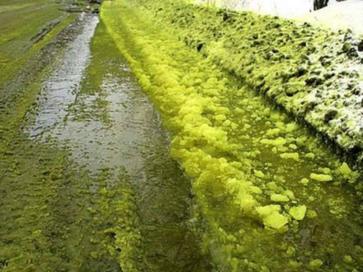 Nieve verde y negra cae en Rusia y genera alboroto entre sus habitantes