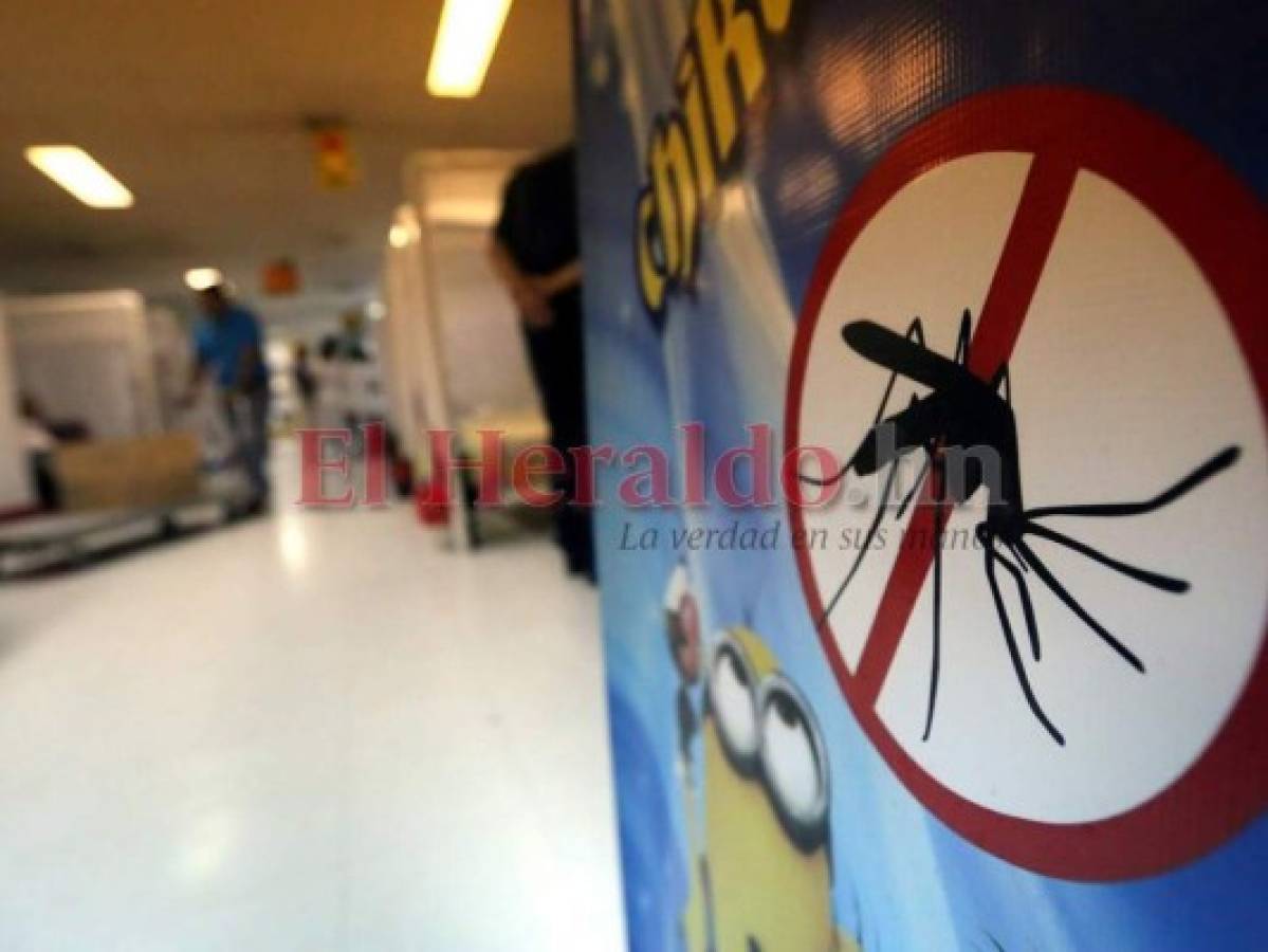 El Paraíso está en alerta roja con más de 1,300 casos de dengue