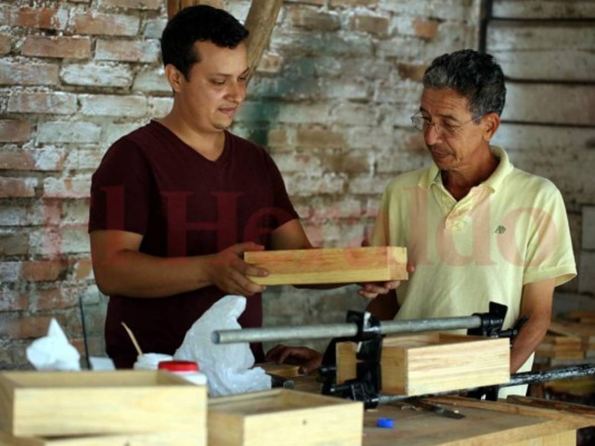 Ricardo, el rey de las abejas orquídeas