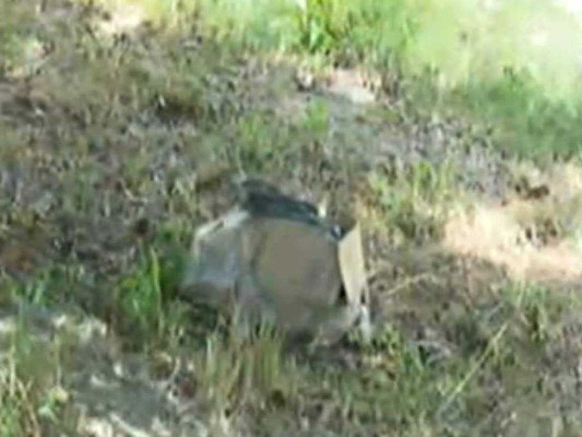 Descartan que restos hallados en una caja en San Pedro Sula sean de una persona