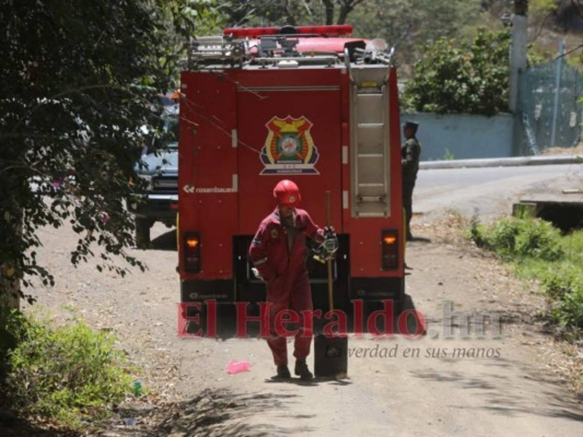 Rápidamente llegaron al sector a combatir las llamas que dañan el pulmón de la ciudad. Foto David Romero| EL HERALDO