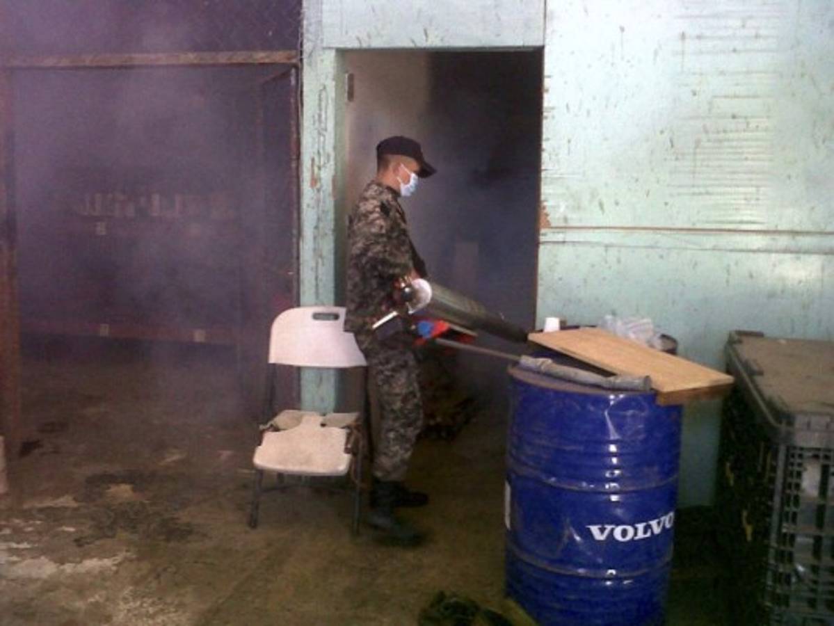 En Valle no dan tregua a mosquito del dengue