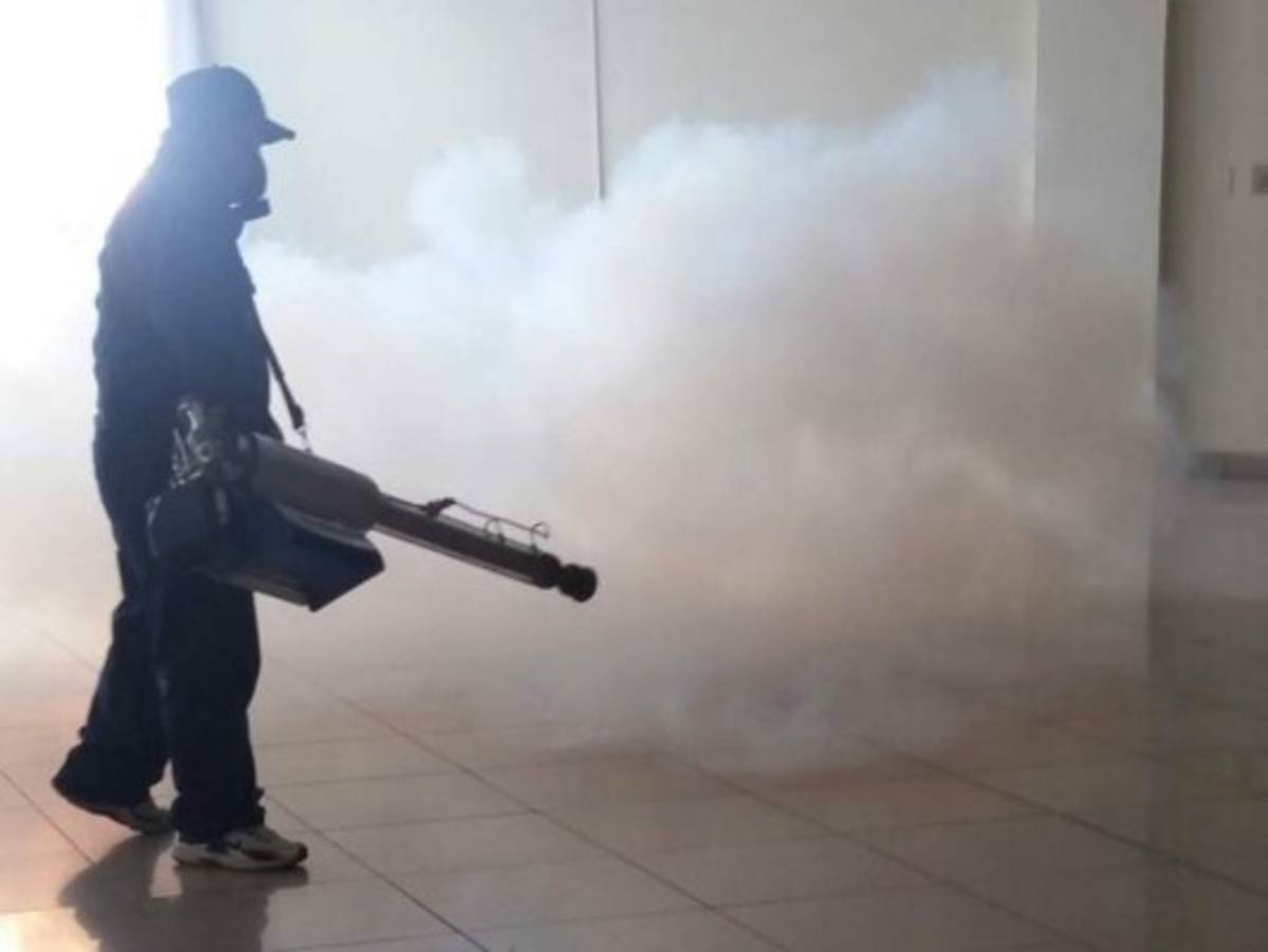 12 de cada 100 casas de la capital tienen presencia del Aedes aegypti