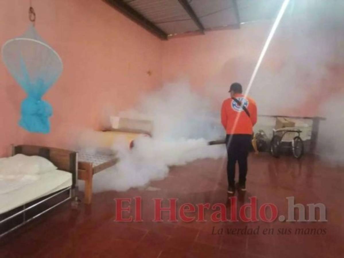 Realizan fumigaciones en los hogares. Foto: Efraín Salgado/El Heraldo