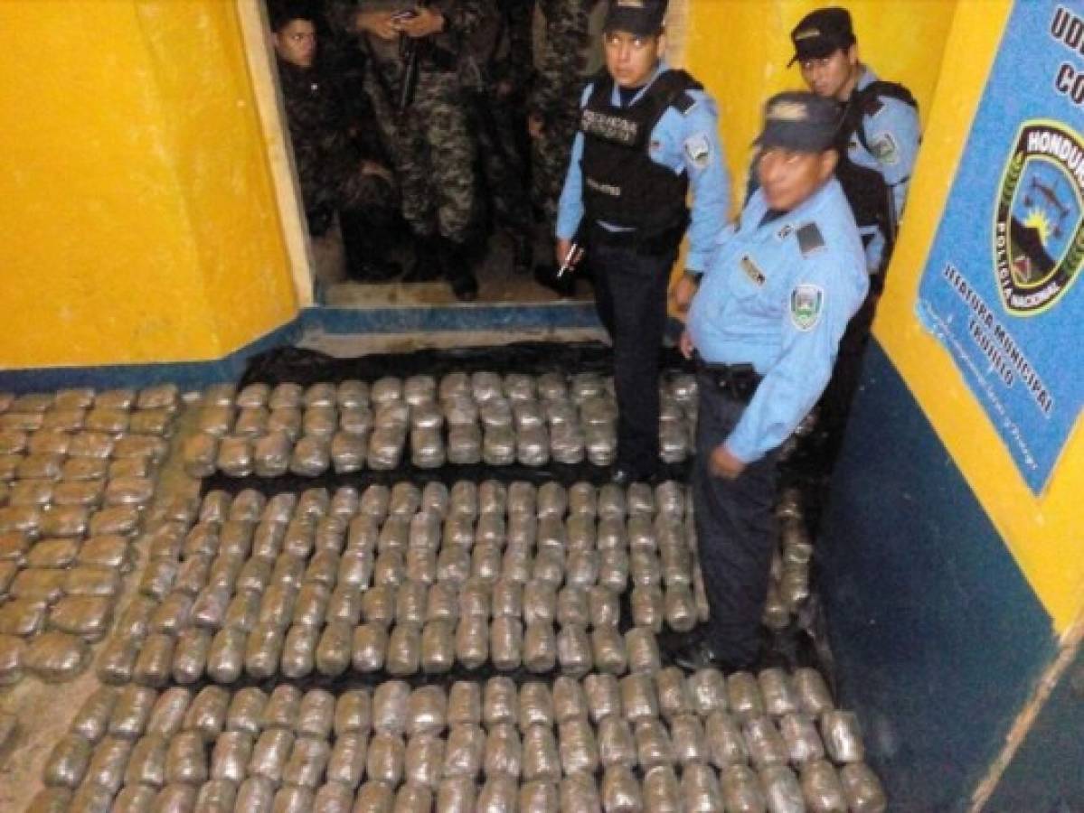 Decomisan 90 mil lempiras en marihuana en el departamento de Colón, en el norte de Honduras