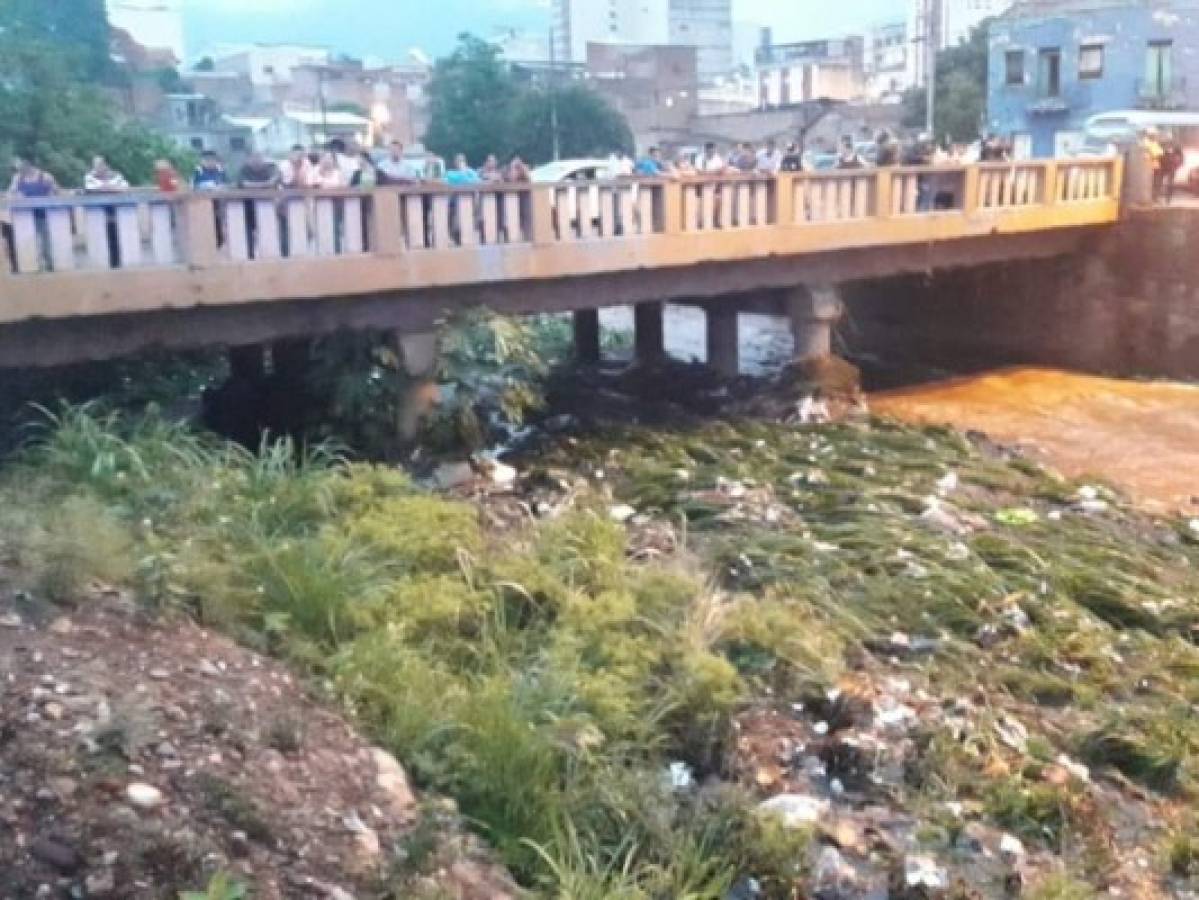 Putrefacto y desmembrado hallan cadáver en el barrio La Hoya de la capital