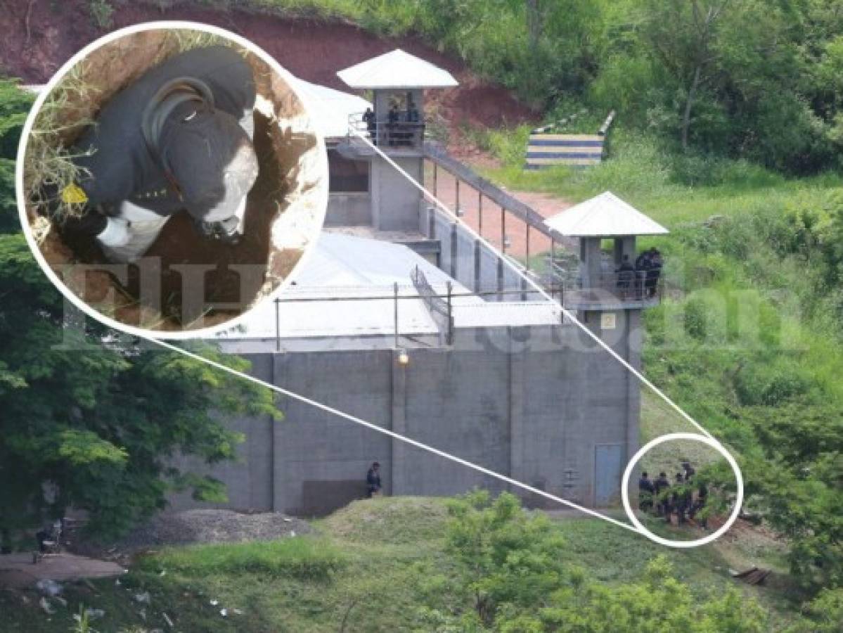 Honduras: Menores pandilleros querían fugarse a través de un túnel de las bartolinas de los Cobras