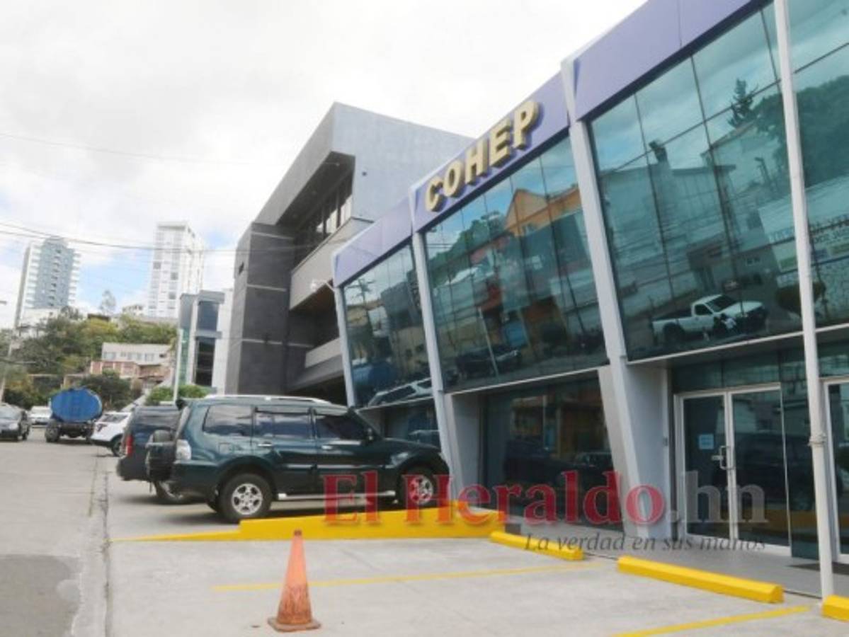 Congelan por un mes precio del saco de alimento balanceado para animales