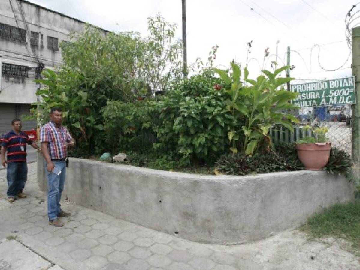 En lugar de esta jardinera, en la sexta avenida de Comayagüela se formaban enormes promontorios de basura.Foto:Alejandro Amador/El Heraldo
