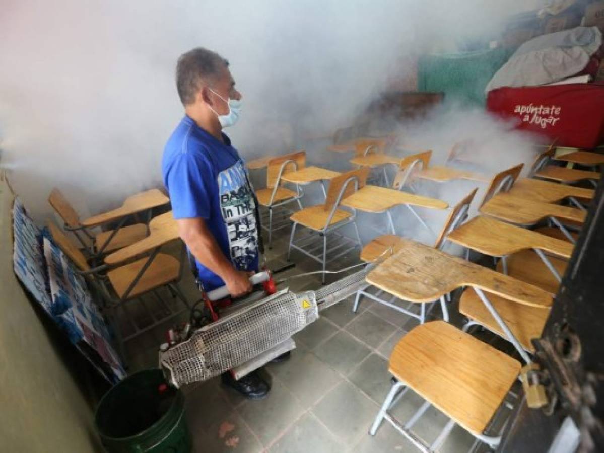 Honduras: 42 personas se infectan de dengue al día