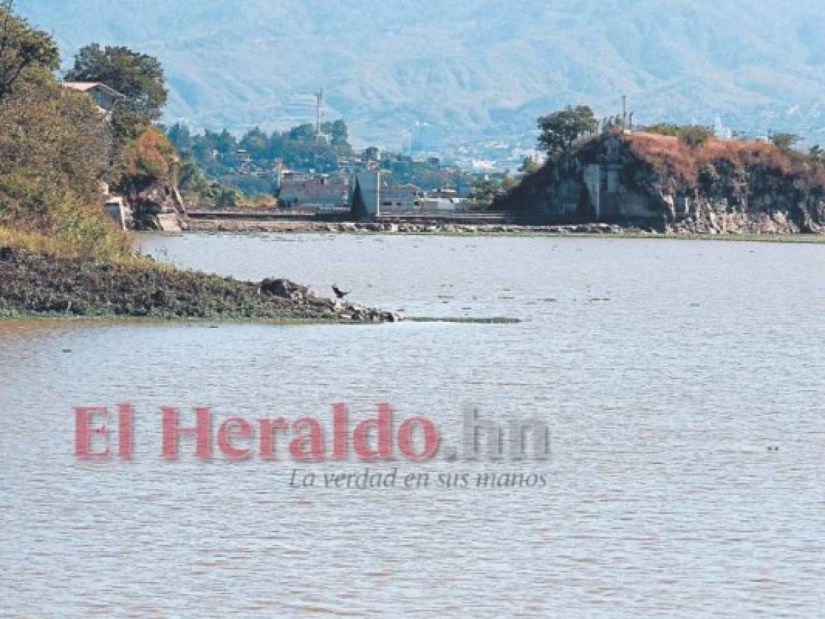 En Los Laureles, también ubicado al suroeste, en la cuenca del río Guacerique, su cobertura de abastecimiento es del 30%.