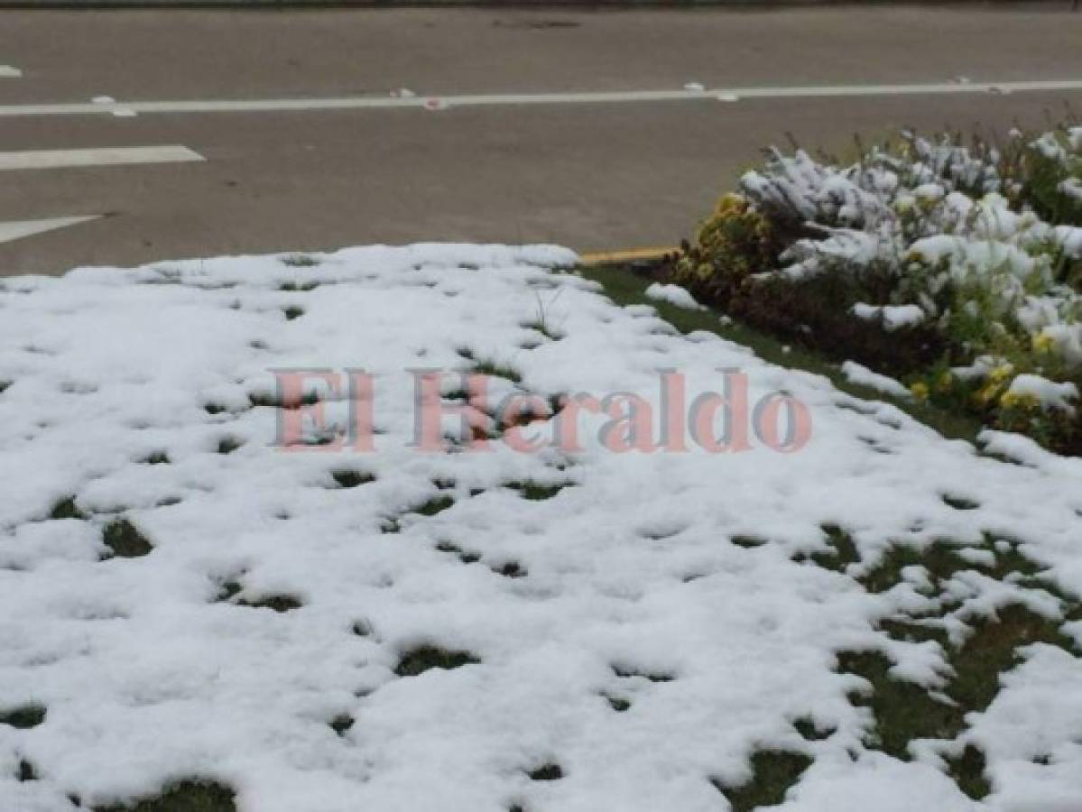 FOTOS: Hondureños en Houston, Texas, reportan sorpresiva nevada después de 9 años