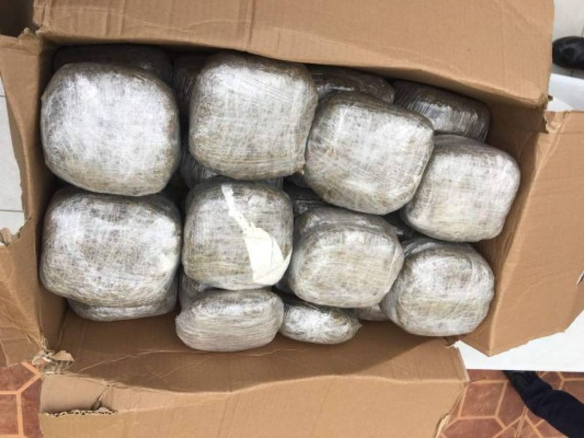 La droga era luego distribuida a los vendedores de droga al menudeo.