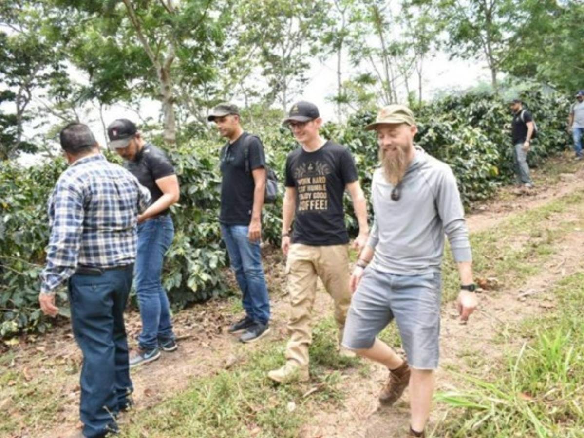 Honduras: 60 productores de café compiten en el evento 'Oro Santa Bárbara'