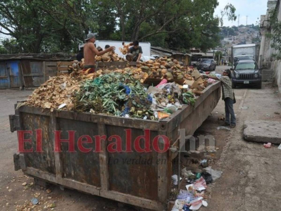 ¿Cómo solicitar la instalación de un contenedor para basura en su barrio o colonia?