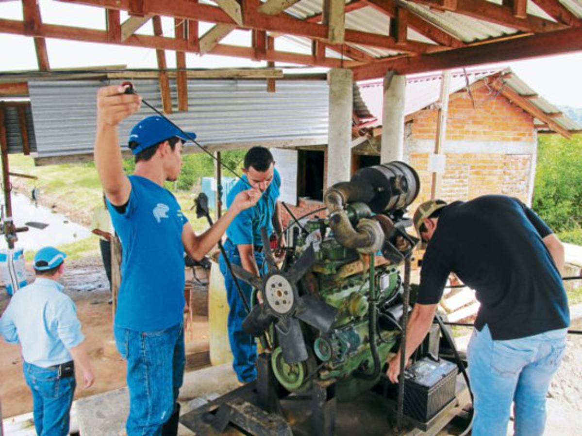 Reactivan investigaciones en centro acuícola de San Lorenzo