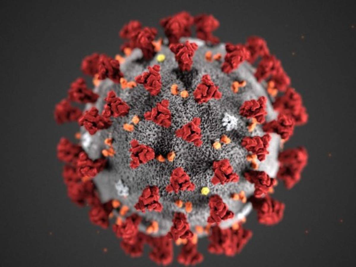 El mal causado por nuevo virus ya tiene nombre: el COVID-19  