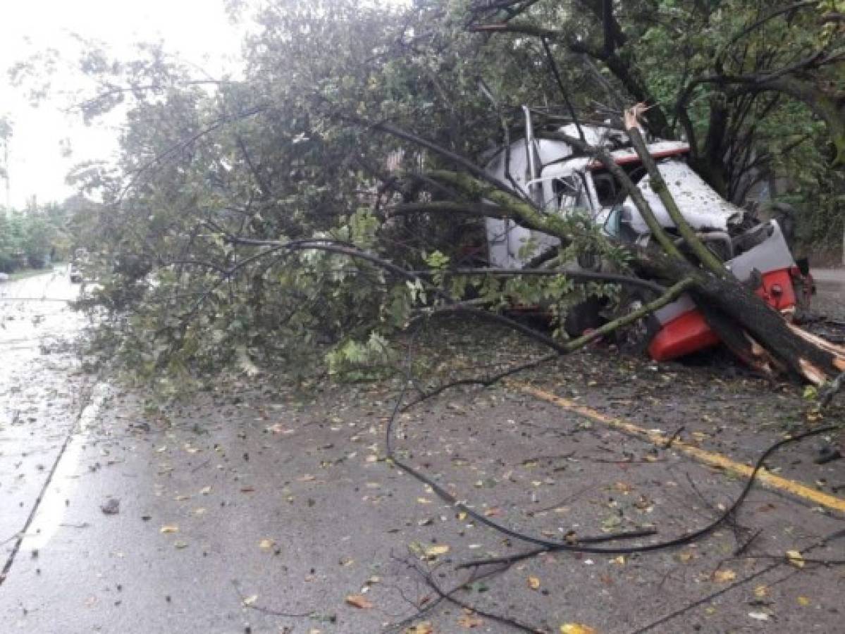 Rastra impacta contra un árbol en aparatoso accidente en Choloma  