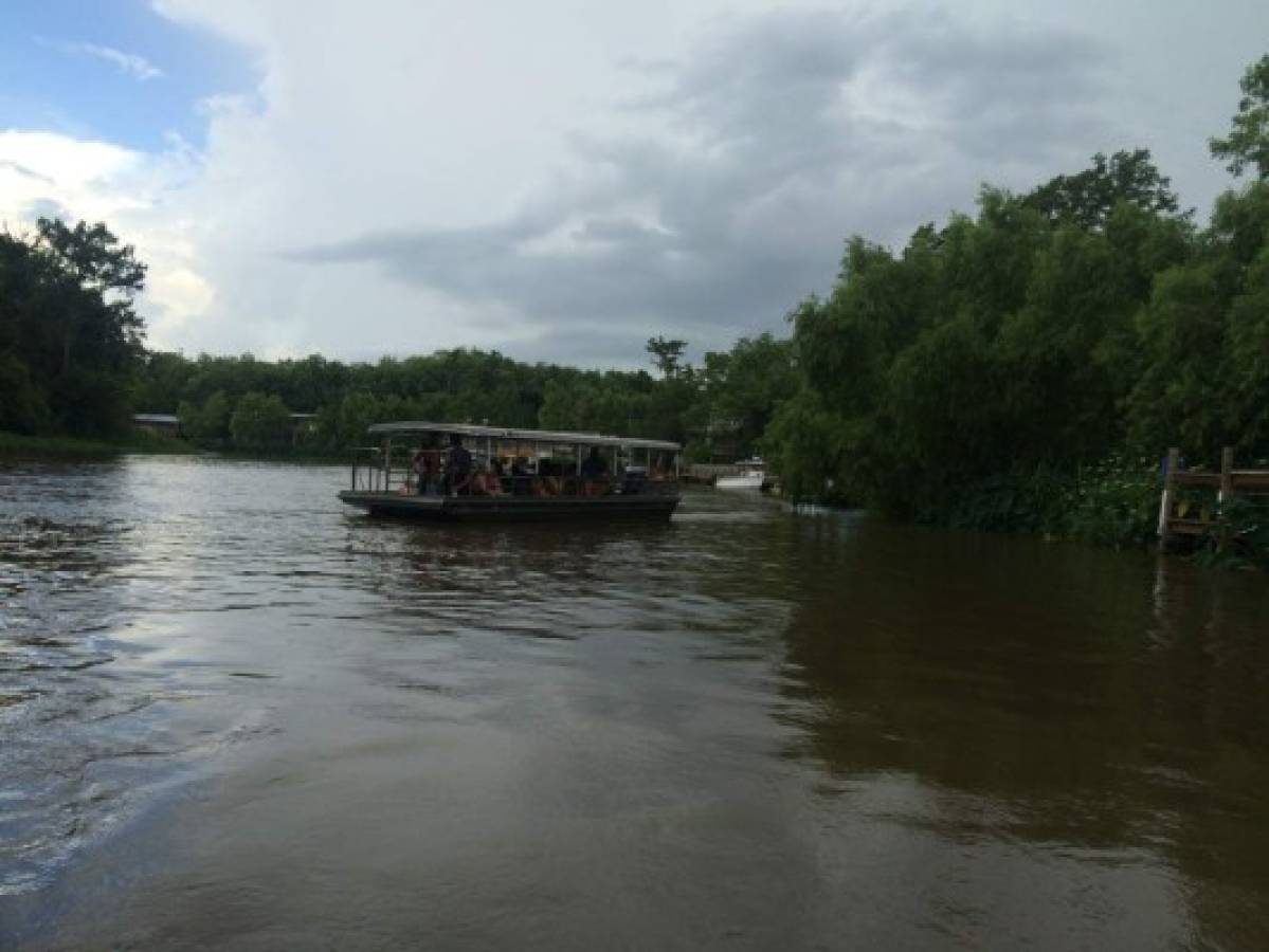 Expedición por los pantanos de la Isla de miel