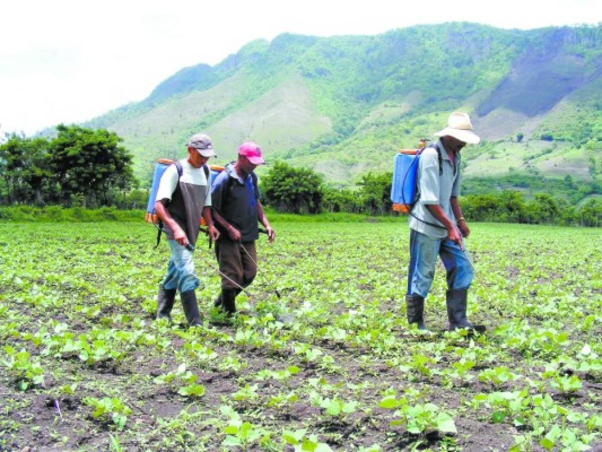 Dan 4,000 millones a Fuerzas Armadas para labores agrícolas