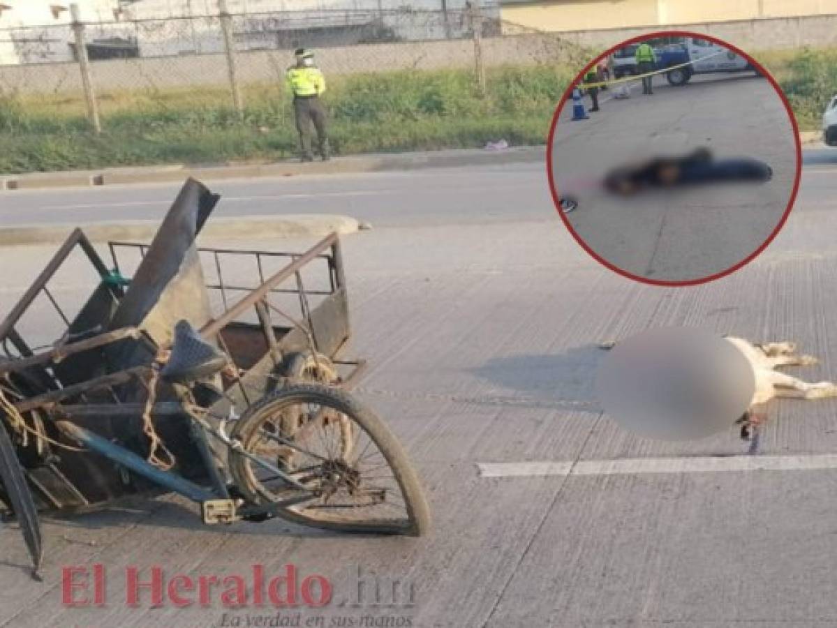 Hombre y su perro mueren atropellados por una camioneta en San Pedro Sula