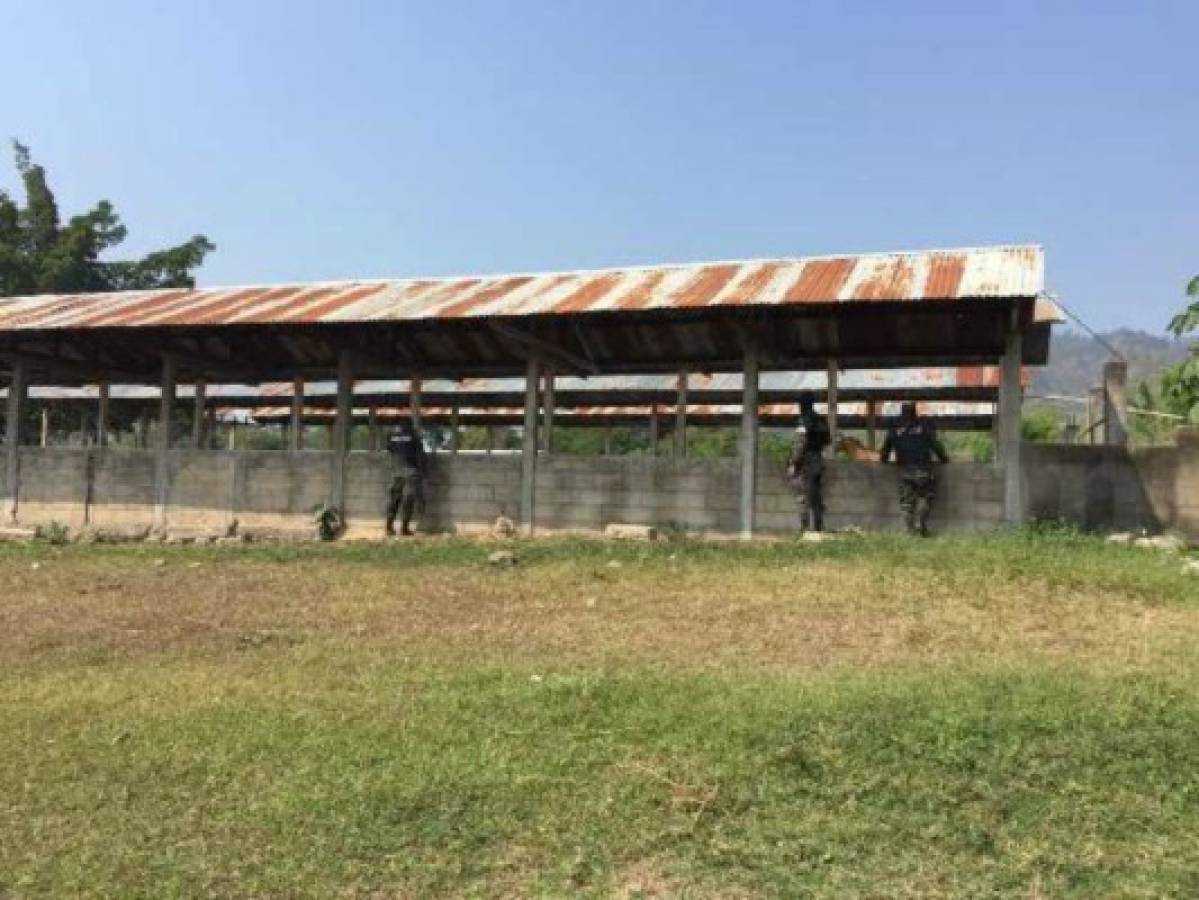 Honduras: Incautan bienes y finca a yerno de Arnulfo Valle Valle en Operación Estigia en Morazán, Yoro