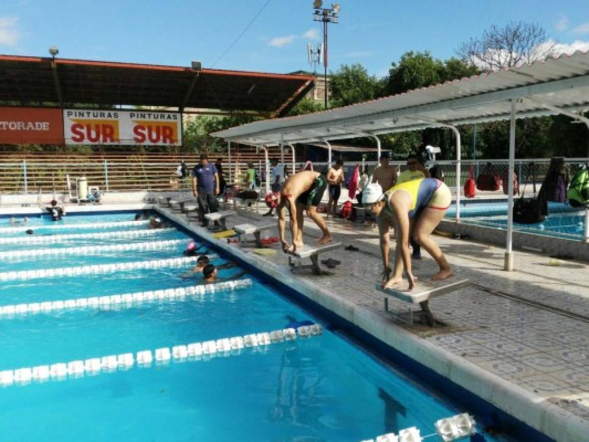 Mueve esos músculos al ritmo de la natación