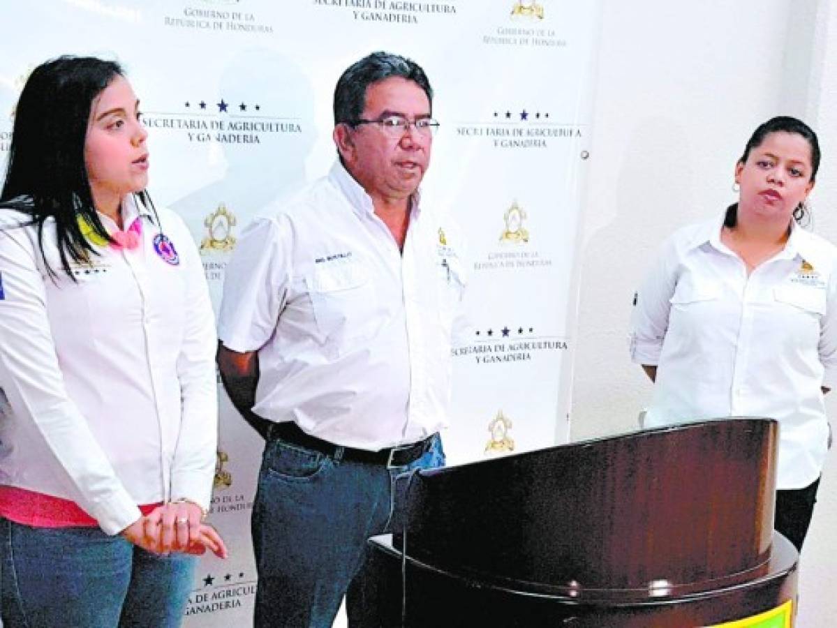 Secretaría de Agricultara y Ganadería pide sembrar en la segunda quincena de mayo