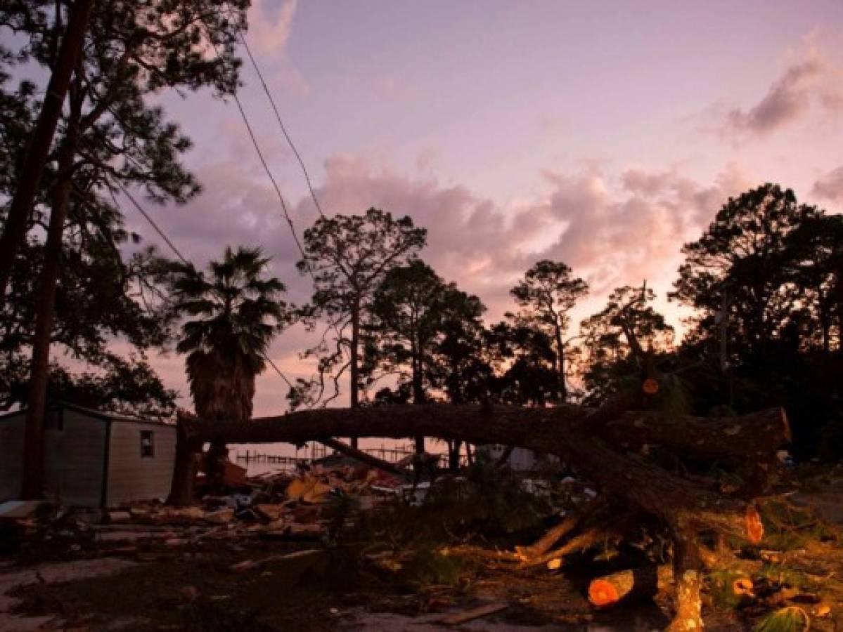 Rescatistas buscan entre los escombros por víctimas mortales del huracán Michael  