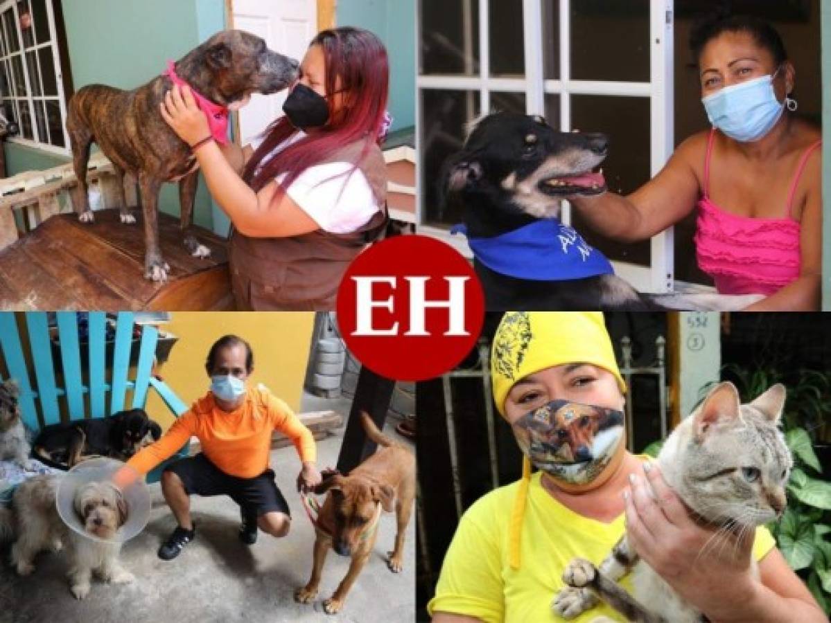 Ángeles dan segunda oportunidad a mascotas desamparadas en Honduras