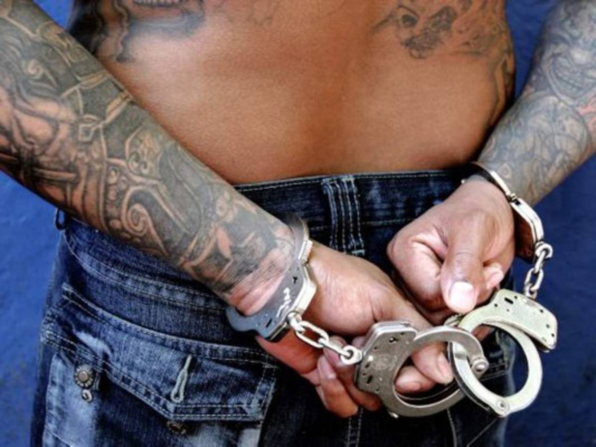 Donald Trump dice que acabará 'muy pronto' con la Mara Salvatrucha