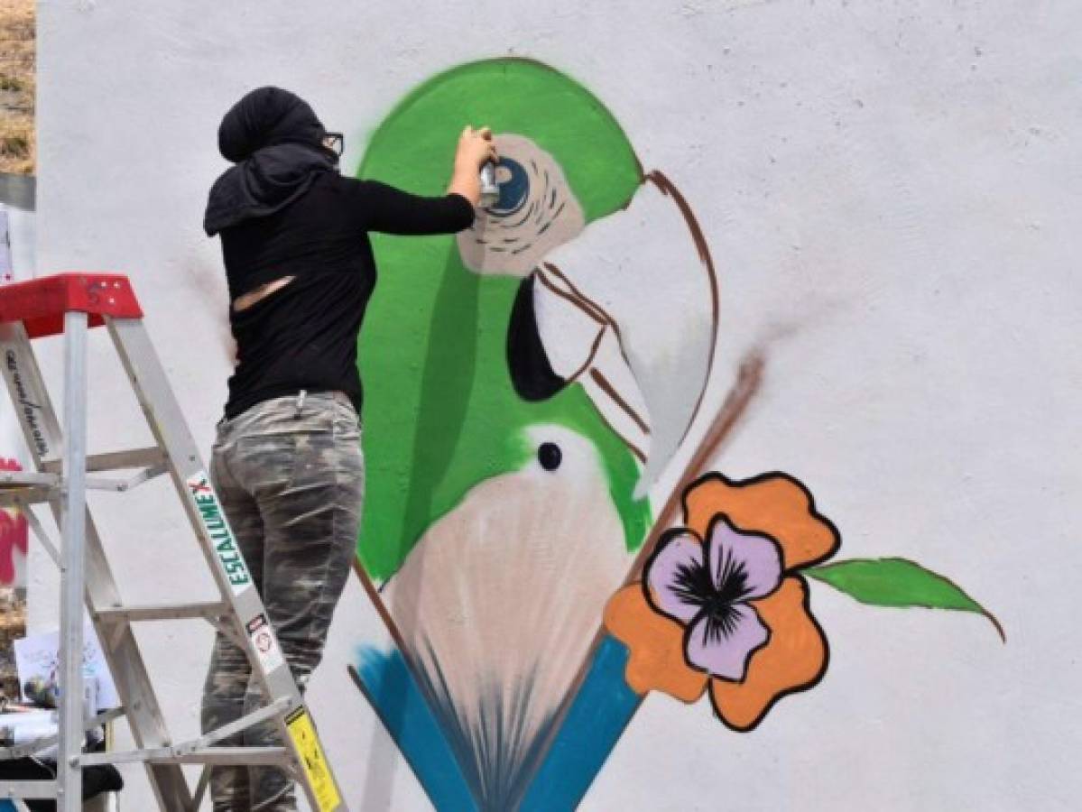 Piscinas, toboganes y el arte del graffiti presentes en colonias capitalinas