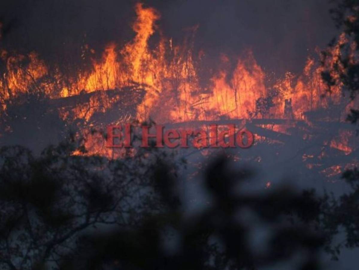 Voraz incendio de zacatera amenaza a varias viviendas en El Hatillo, en la capital de Honduras