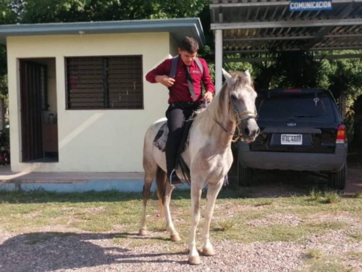 Estudiante hondureño viaja en caballo para cumplir su sueño