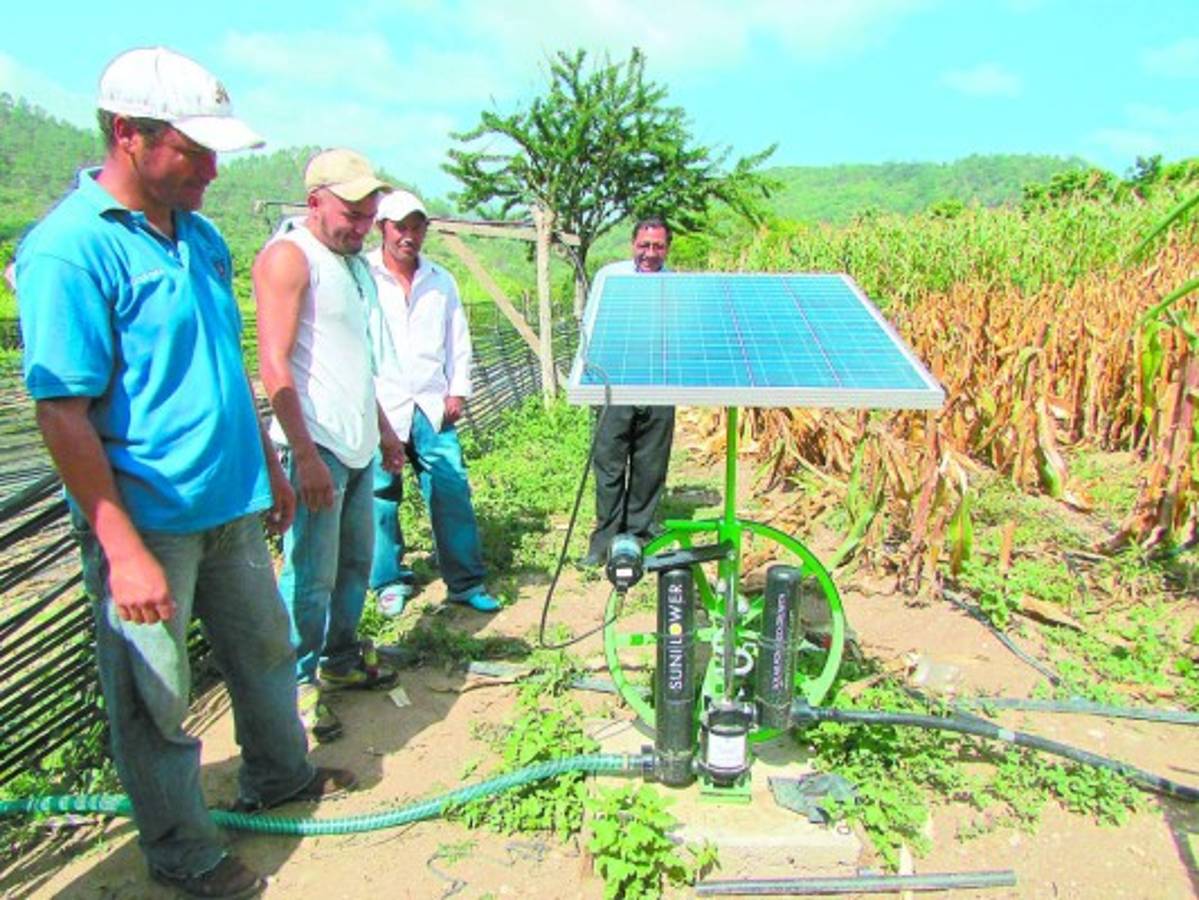 Un proyecto campesino cautiva a estudiantes de agronomía