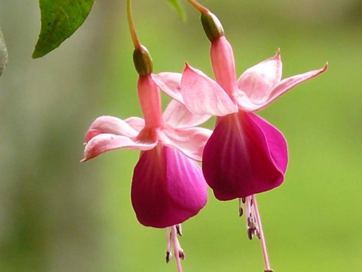 Historia para la seccion mundo test autoslotting