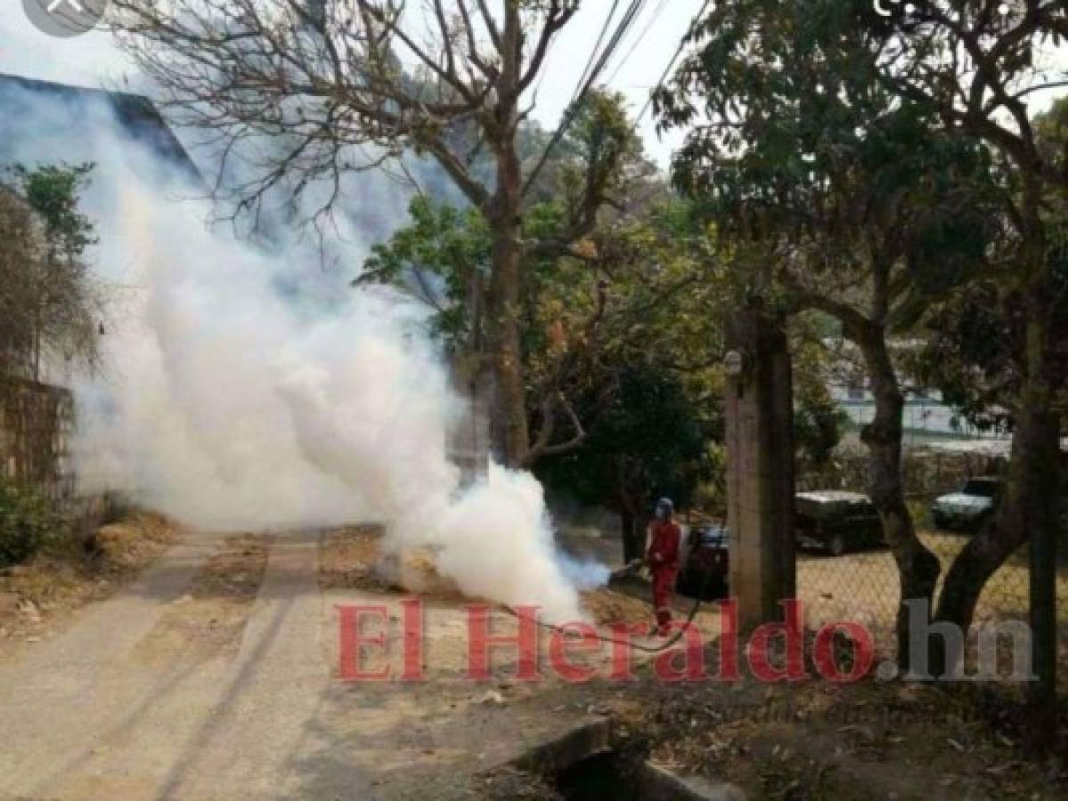 Personal fumiga en la ciudad. Foto: El Heraldo