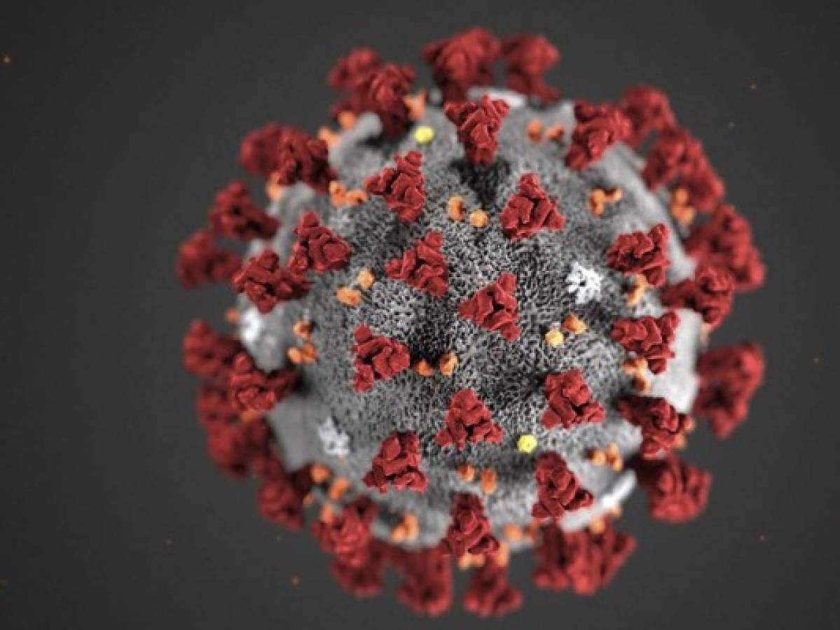 Científicos encuentran coronavirus en semen de pacientes infectados