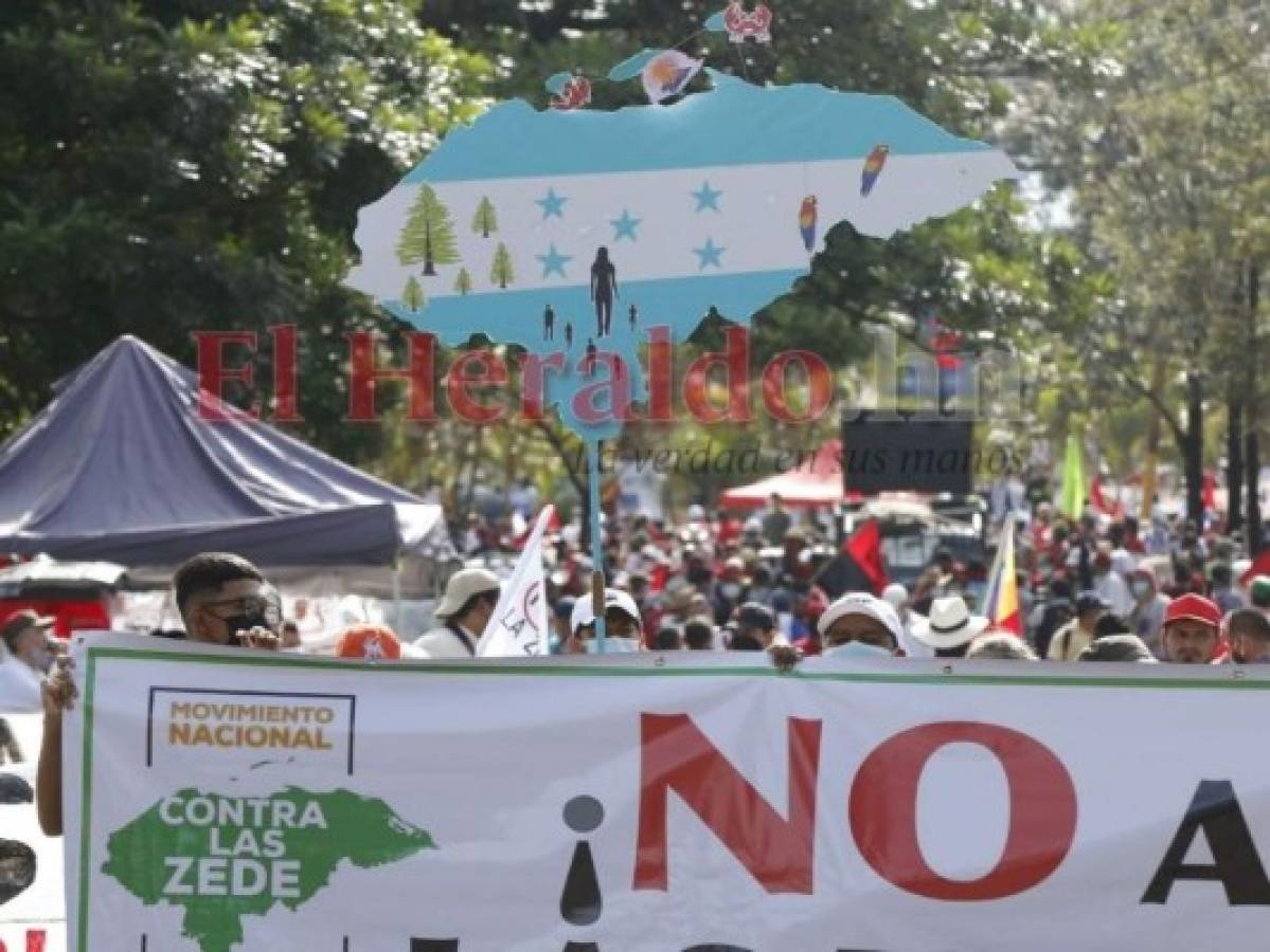 'La casa de papel', '¡No a las ZEDE!' y el discurso de Xiomara: Así protestó Libre en el Bicentenario