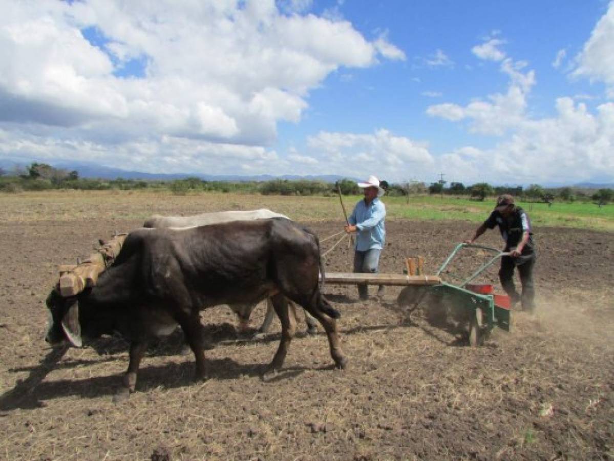 Cabañuelas, el método empírico que ayuda a predecir el clima del año