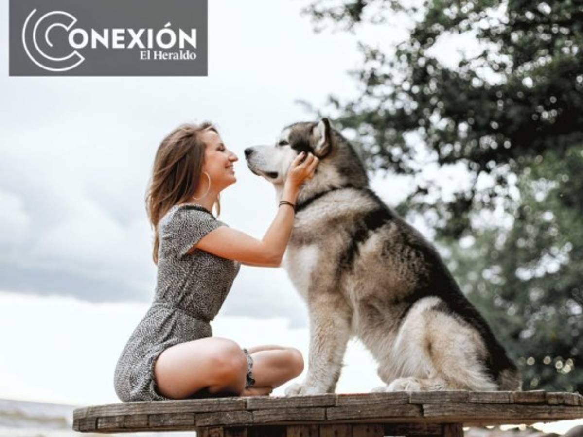 EN VIVO: En Consultorio del Experto le decimos cómo combatir el estrés de su mascota