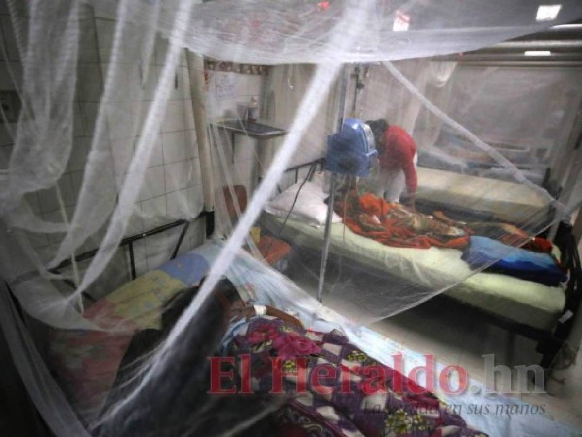 Seis epidemias de dengue han matado a 210 personas en Honduras