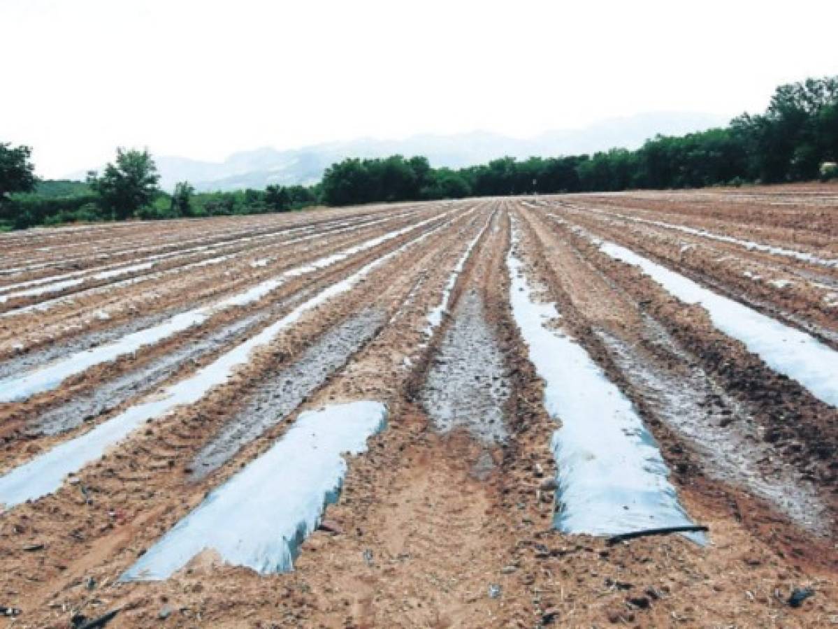 Buscan habilitar 102 cosechadoras de agua olvidadas en el Corredor Seco