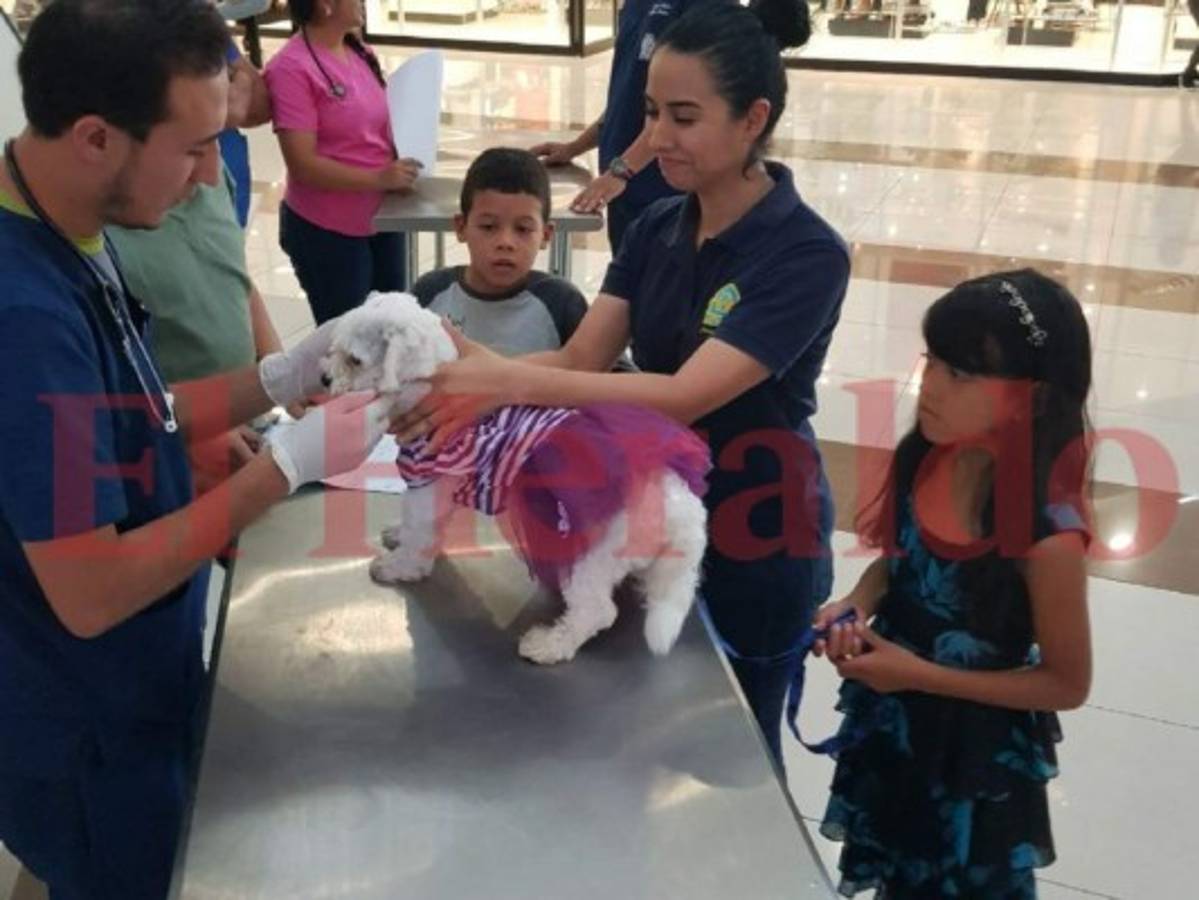 Veterinarios hondureños con vocación a servir a la comunidad